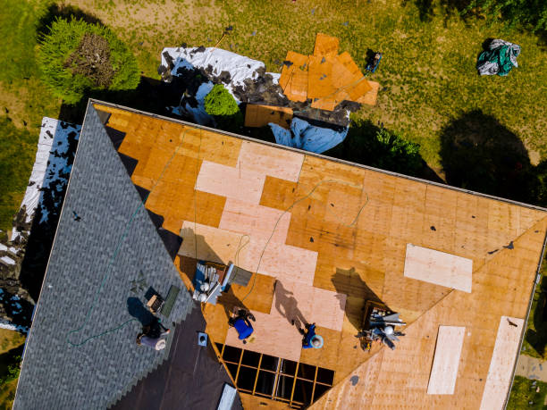 Best Shingle Roofing Installation  in Point Venture, TX