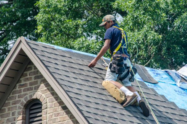 Tile Roofing Contractor in Point Venture, TX